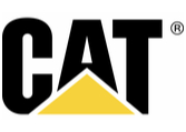 Cat Logo 1